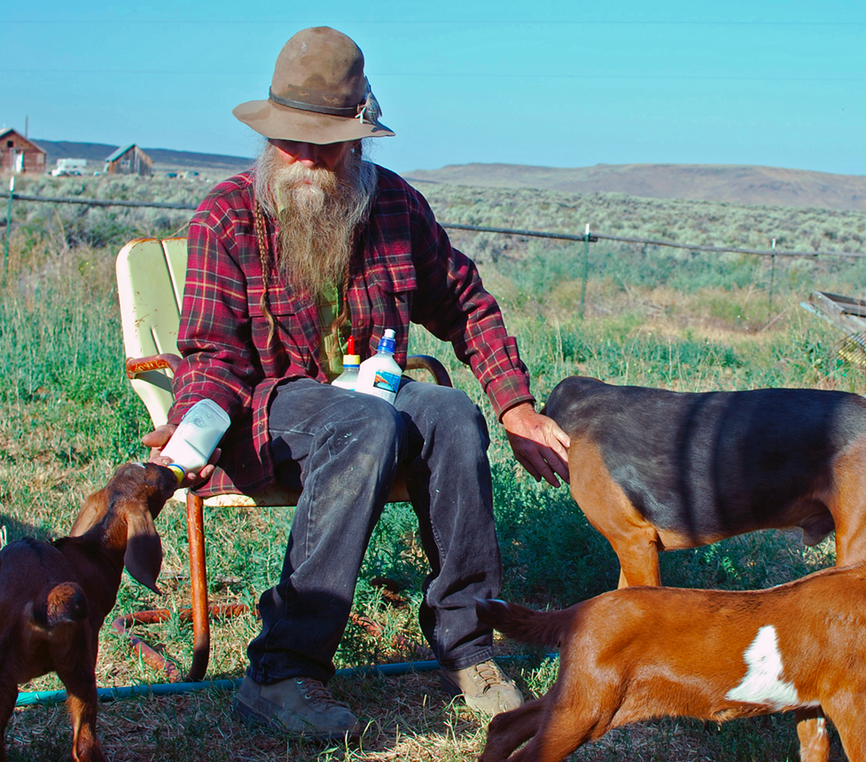 Idaho Cottonwood homestead’s back to basics raw goat milk