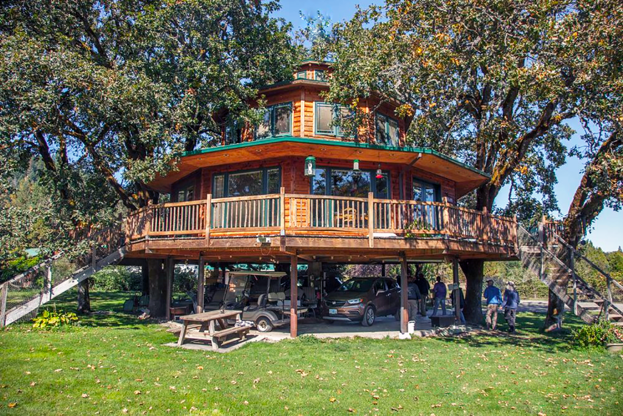 How 7 trees support treehouse pioneer’s own 1,800 sq-ft home ...